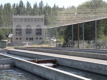 Crystal Lake Fish hatchery